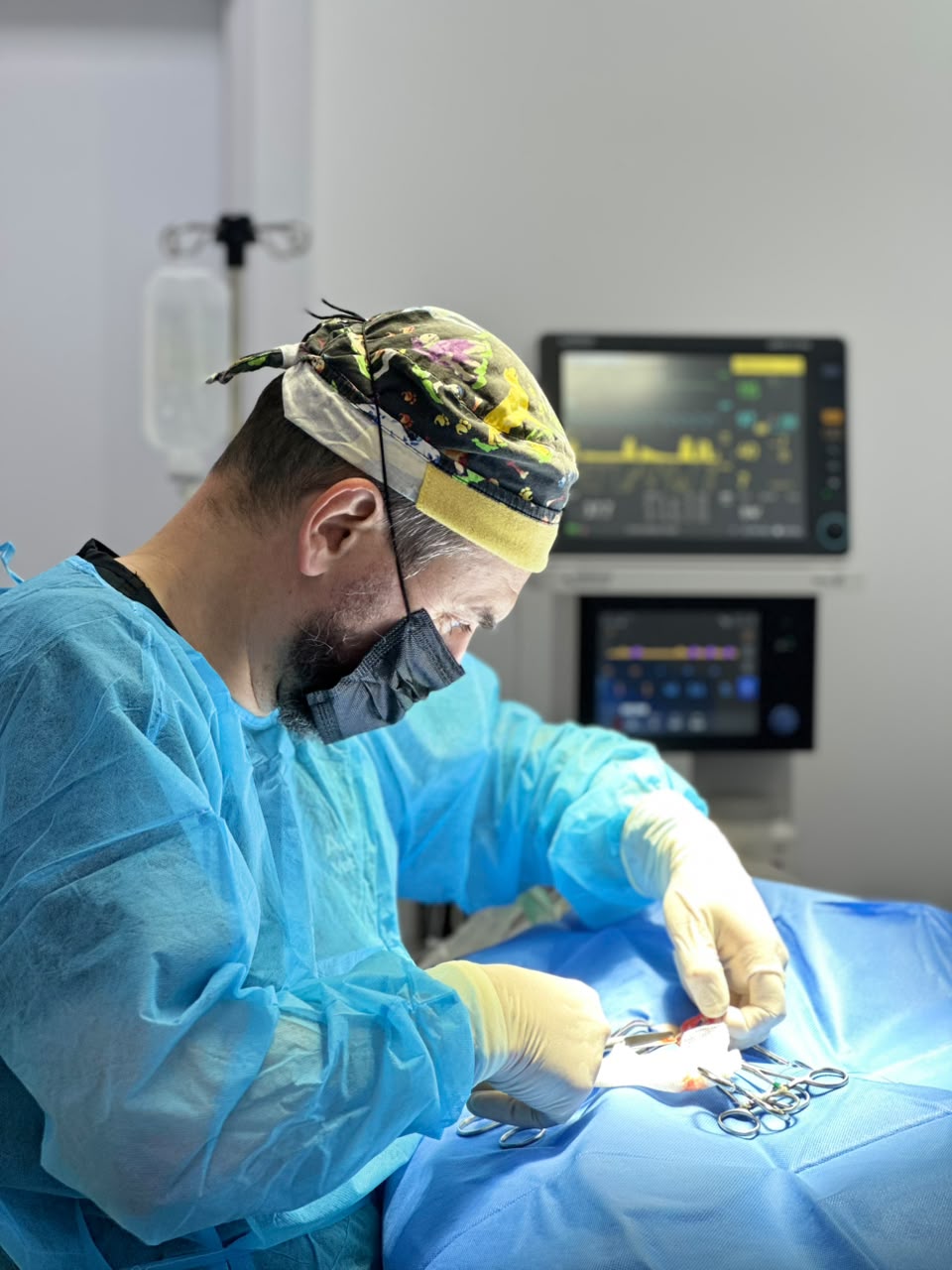 Vet examining a dog